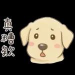 小拉拉 實用日常