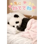 飛び出す♡パンダの家族連絡