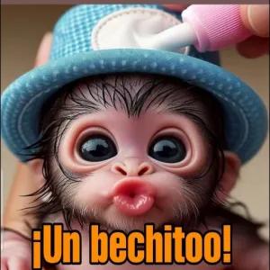 ¡Un bechitoo! - getsticker.com