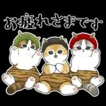 おめかしにゃん