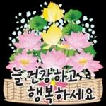 오늘은 꽃 주는 날 2