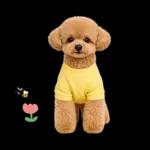 春♡とってもかわいいトイプードル