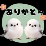 とってもかわいい♡シマエナガちゃん