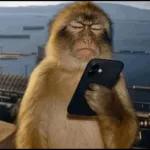 FUERTES PALABRAS... FUERTES Y DESCONCERTANTES!!