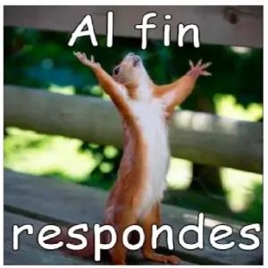 Al fin respondes - getsticker.com