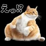 生成失敗猫【毒舌・煽り・煽る・シュール】