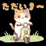 ぽかぽか春ねこライフ