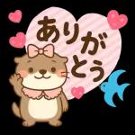 ラッコのほのぼの日常便