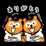 Buffaloes Ponta / Hipster