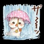 にゃんこたちの梅雨だより