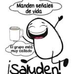 voy a ser la dormisión