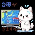 スタンプ・雨の日サモエド