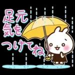 うさぎさん 春・梅雨・初夏