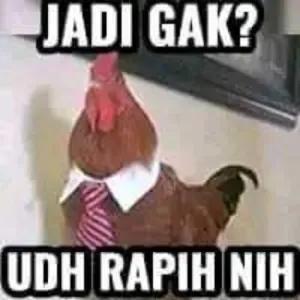 JADI GAK? UDH RAPIH NIH - getsticker.com