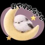 とってもかわいい♡シマエナガちゃん