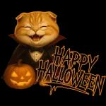 ハロウィンにゃん！