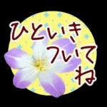 春✿明るい花で幸せ呼び込む✿やさしい声かけ