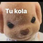 kisieras