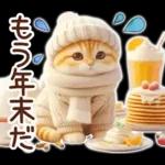 冬の猫のスコティッシュ【よく使う言葉】