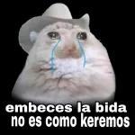 embeces la bida no es como keremos