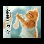 動く！猫の日常2