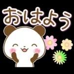 一年中使える連絡用パンダ