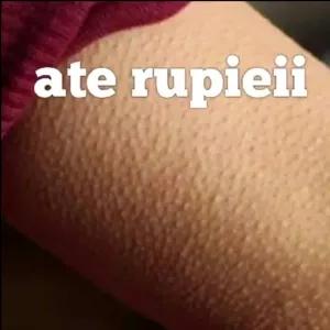 ate rupieii - getsticker.com
