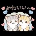 毎日使える♡大人可愛いガーリーキャット2