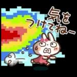 夏・天気【白うさぎさん＆インコちゃん】