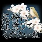 桜舞う！鶯と和桜の春を感じる挨拶スタンプ