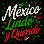 Se agregaron nuevos stickers de fútbol
