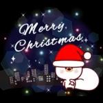 年賀状・冬の詰め合わせ！ ゆるもか８