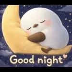 可愛いシマエナガ