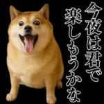 ガンギマリの柴犬＠エロ・日常会話