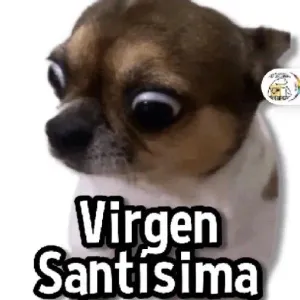 Virgen Santísima - getsticker.com