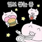 쩝쩝박사 꿀꾸리