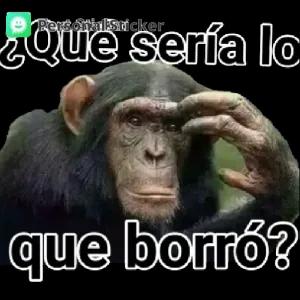 ¿Que sería lo que borró? - getsticker.com