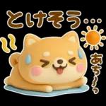 夏にかわいい♡豆柴日和