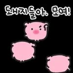 때지 뚱뚜이