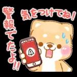 雨、梅雨、夏に使う❤️いやしばいぬ❤️柴犬