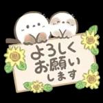【夏】エナガさんとシマエナガさん12