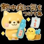 夏にかわいい♡豆柴日和