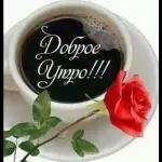 утречко доброе