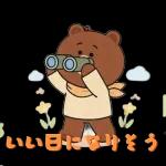 ぽかぽかくまさんの春