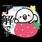 毎日しろちゃん22❤敬語・長文
