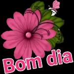 Boa Noite