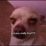 Are you really fine?!