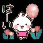 うさぎさん 春・梅雨・初夏