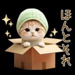 ずっと使える メロン帽が可愛い 猫とウサギ