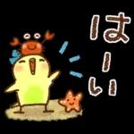 夏・天気【白うさぎさん＆インコちゃん】